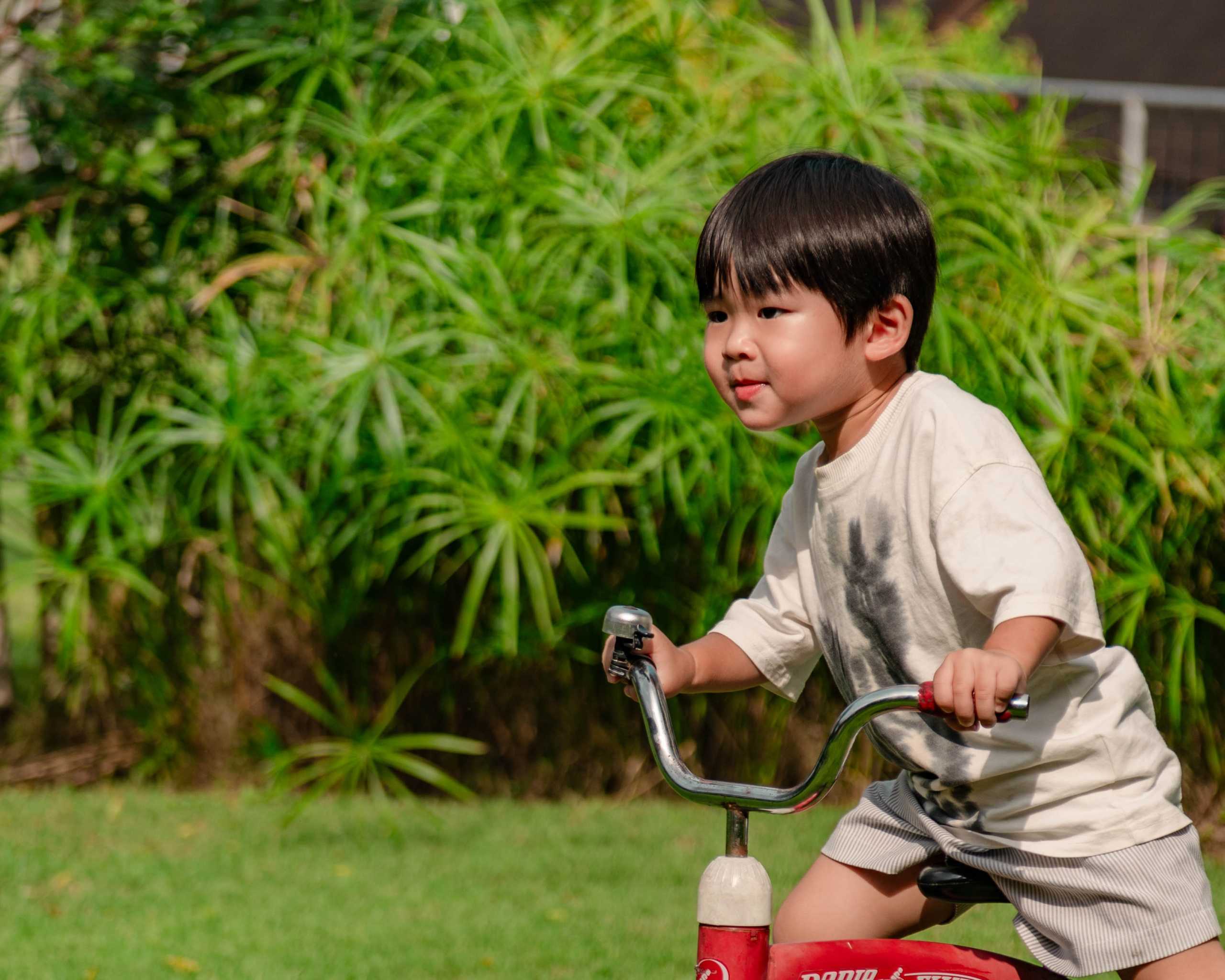 Montessori School Bali